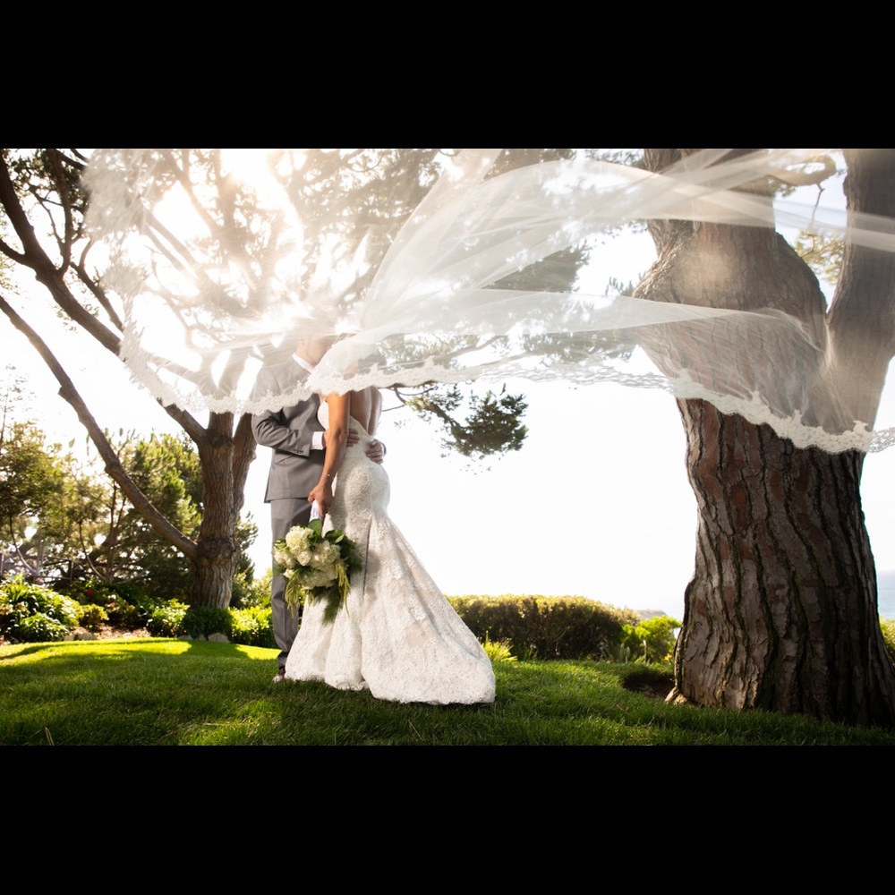 Pronovias Cathedral Veil in Ivory